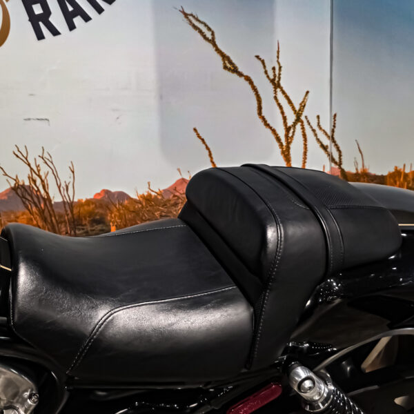 Harley-Davidson - VROD Muscle - VRSCF - 2015 (1)