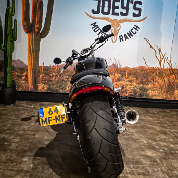 Harley-Davidson - VROD Muscle - VRSCF - 2015 (1)