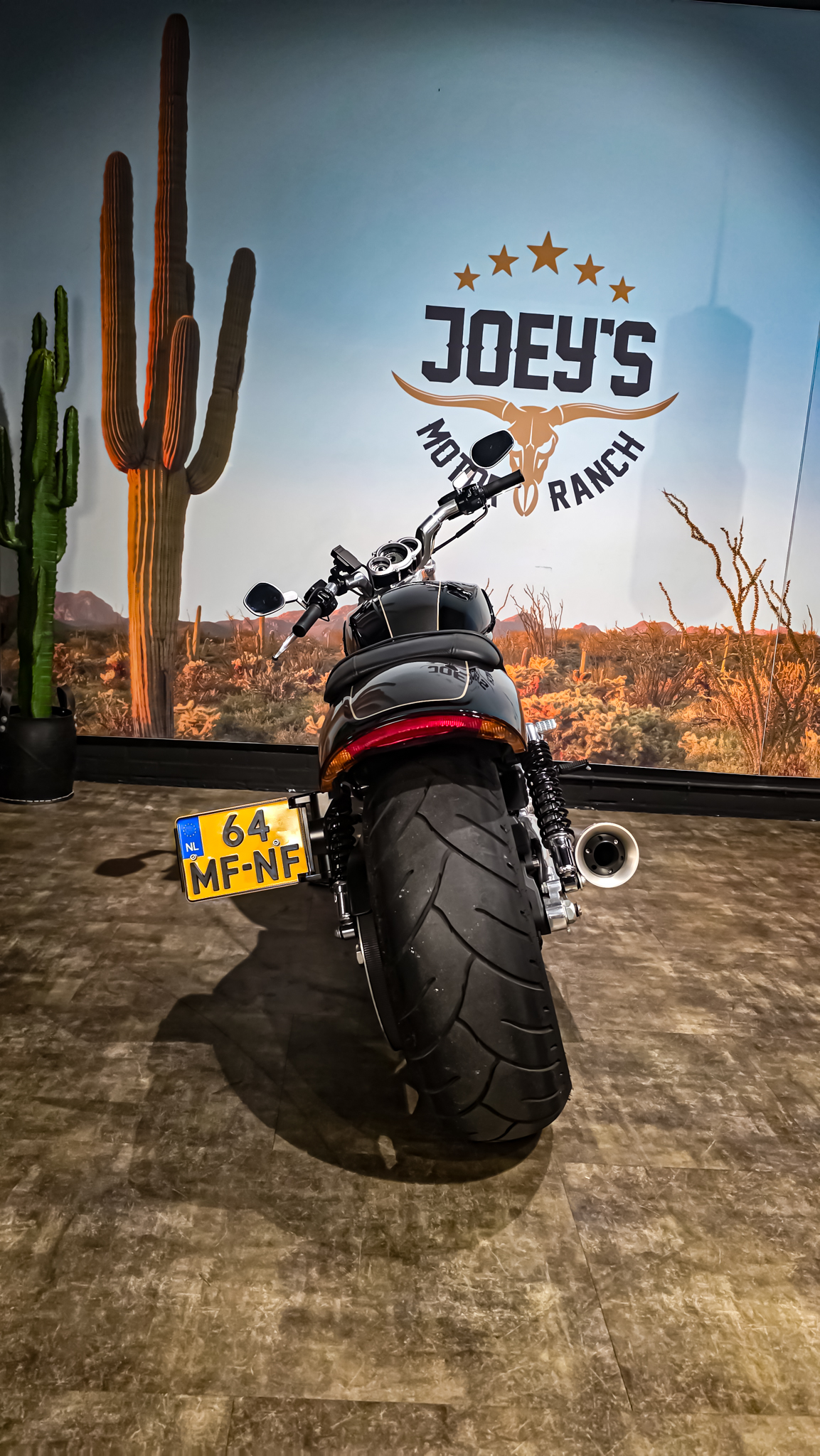 Harley-Davidson - VROD Muscle - VRSCF - 2015 (1)