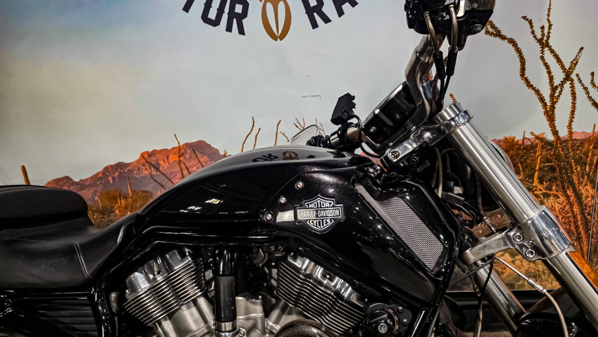 Harley-Davidson - VROD Muscle - VRSCF - 2015 (1)