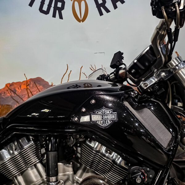 Harley-Davidson - VROD Muscle - VRSCF - 2015 (1)