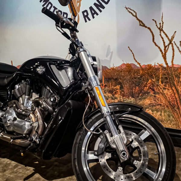 Harley-Davidson - VROD Muscle - VRSCF - 2015 (1)
