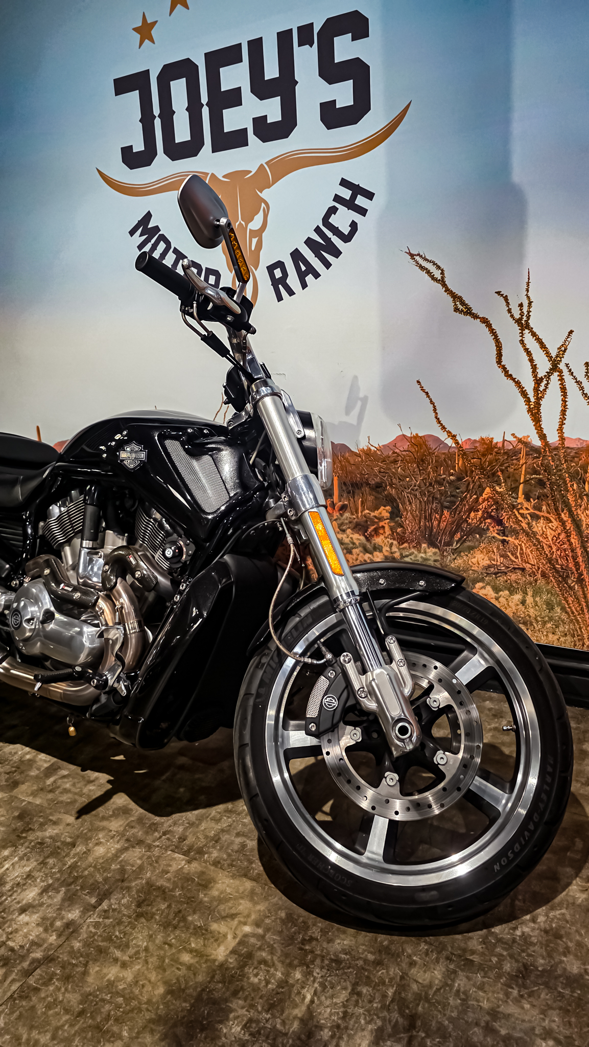 Harley-Davidson - VROD Muscle - VRSCF - 2015 (1)