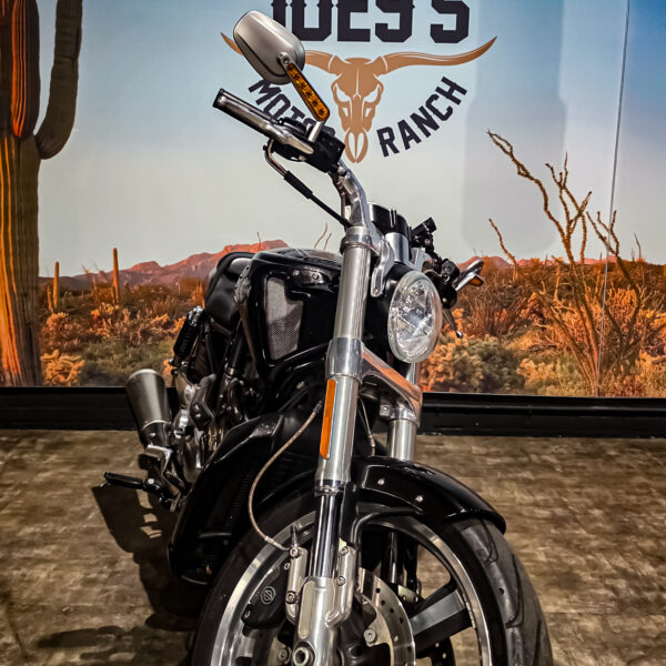 Harley-Davidson - VROD Muscle - VRSCF - 2015 (1)
