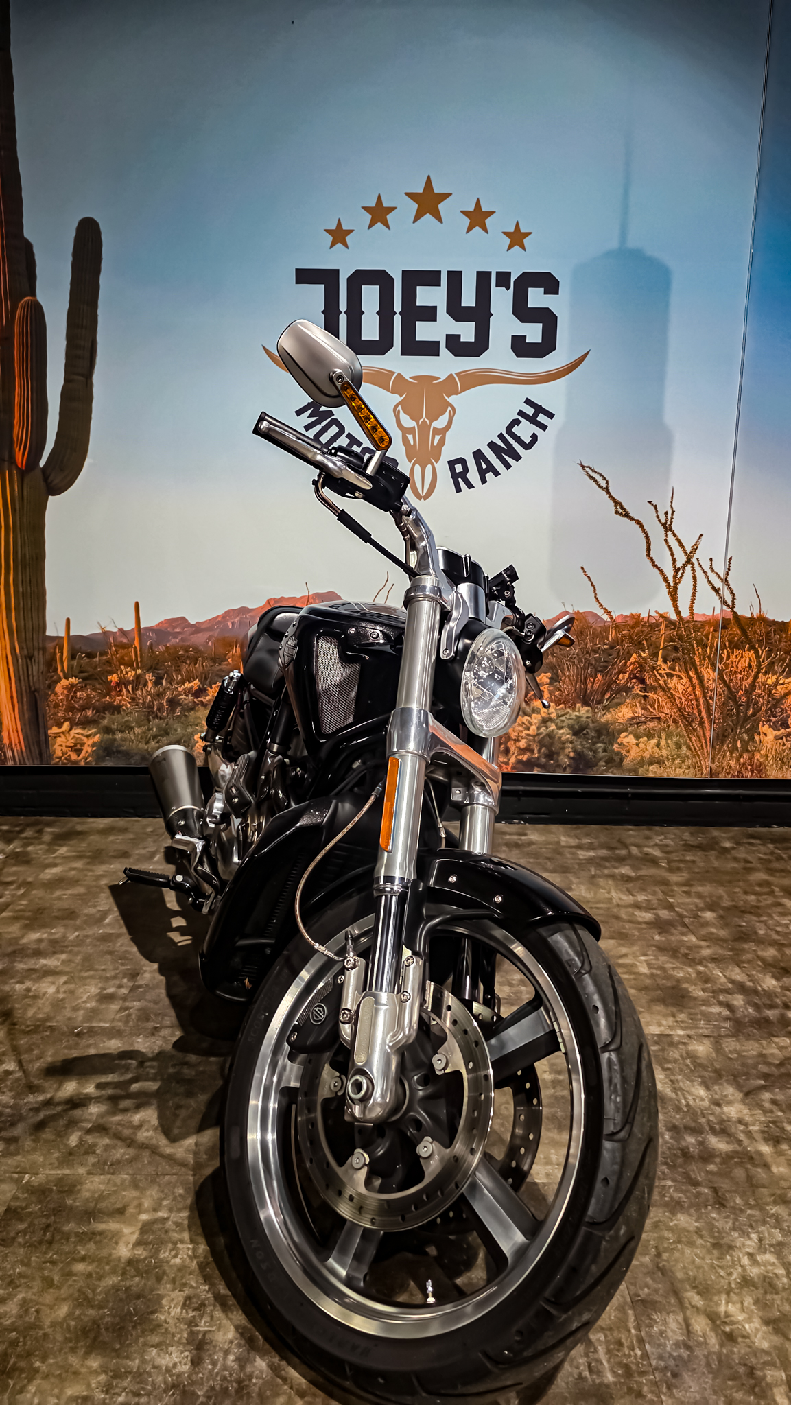 Harley-Davidson - VROD Muscle - VRSCF - 2015 (1)