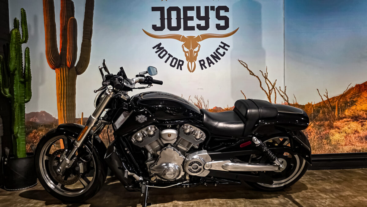 Harley-Davidson - VROD Muscle - VRSCF - 2015 (1)