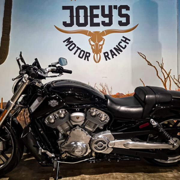 Harley-Davidson - VROD Muscle - VRSCF - 2015 (1)