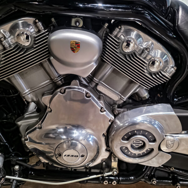 Harley-Davidson - VROD Muscle - VRSCF - 2015 (1)