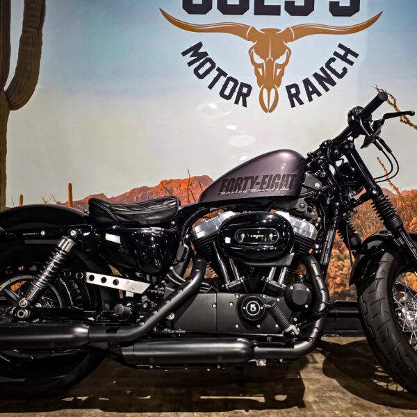 Harley-davidson - XL1200X - Sportster 48 - 2015 (7)