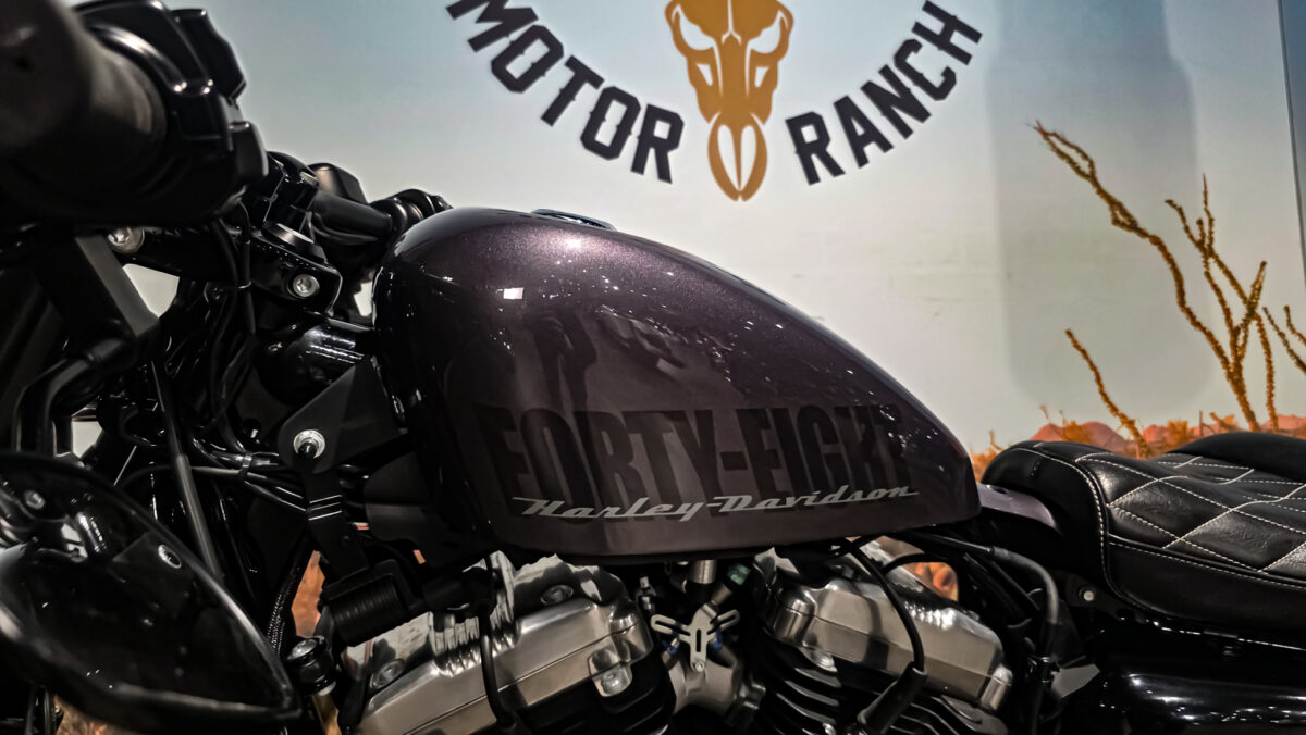 Harley-davidson - XL1200X - Sportster 48 - 2015 (7)