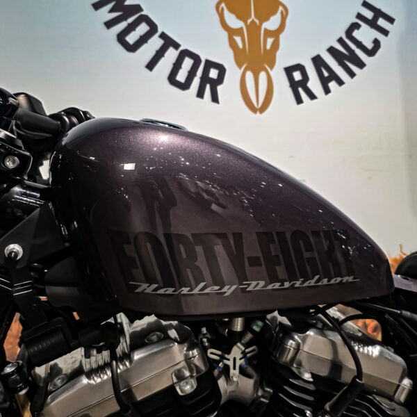 Harley-davidson - XL1200X - Sportster 48 - 2015 (7)