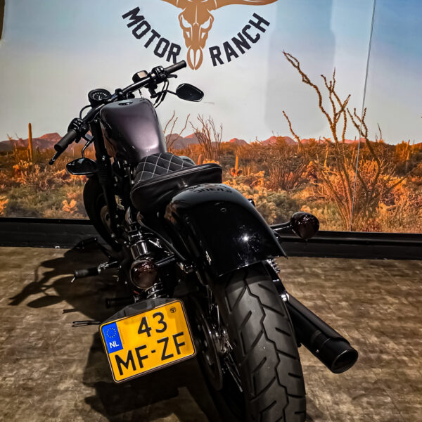 Harley-davidson - XL1200X - Sportster 48 - 2015 (7)