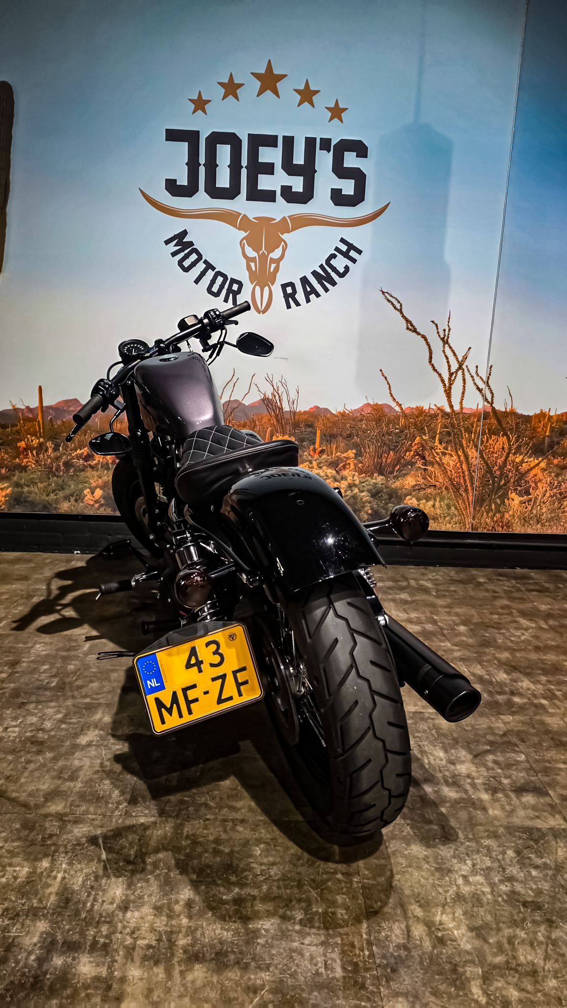 Harley-davidson - XL1200X - Sportster 48 - 2015 (7)