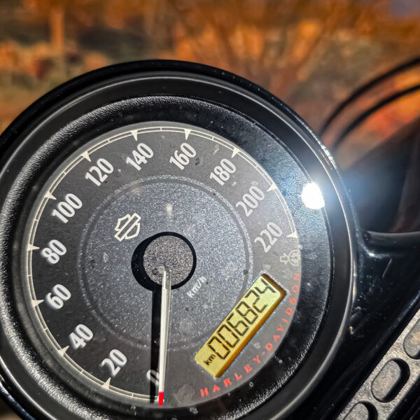 Harley-davidson - XL1200X - Sportster 48 - 2015 (7)