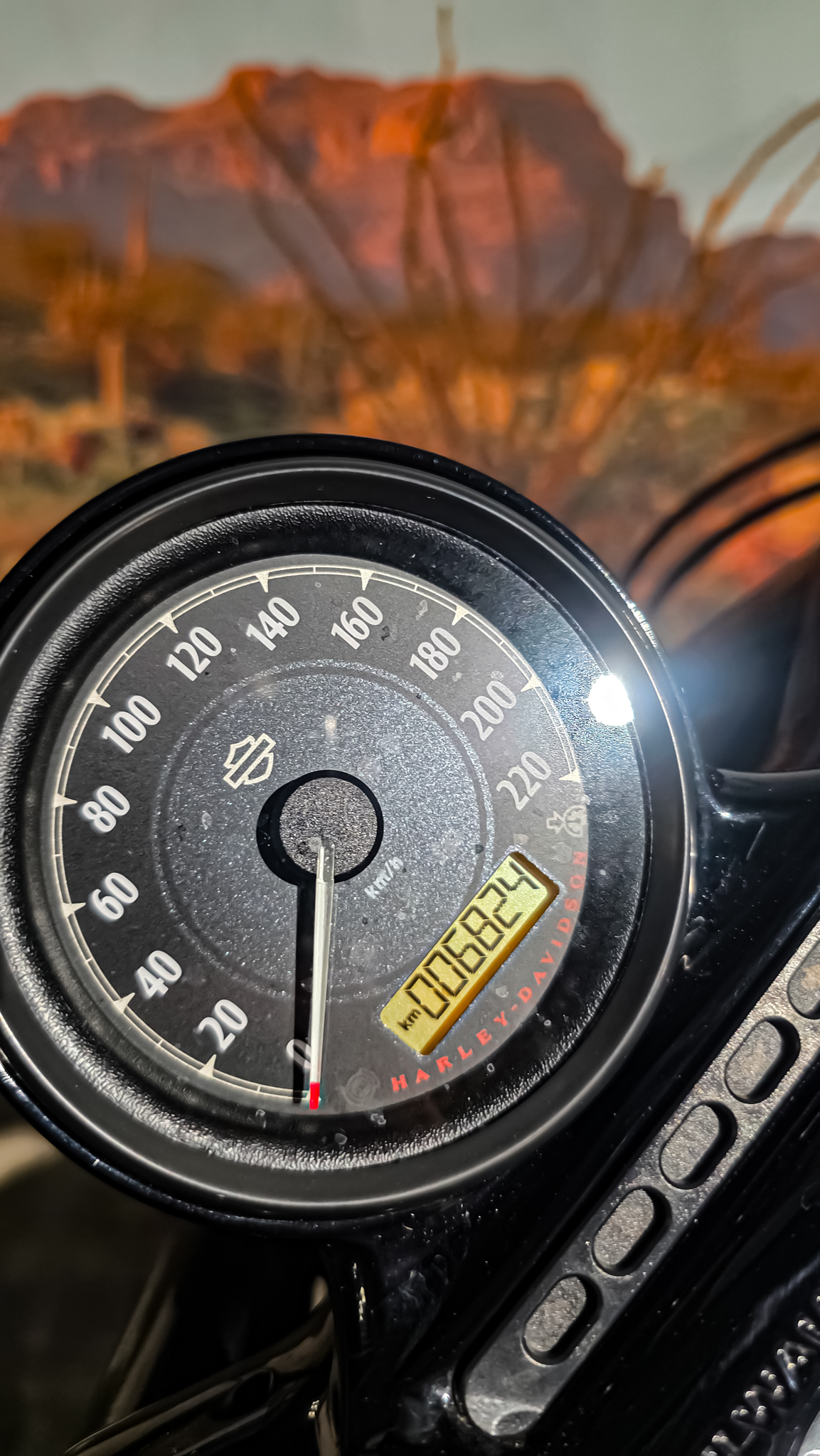 Harley-davidson - XL1200X - Sportster 48 - 2015 (7)