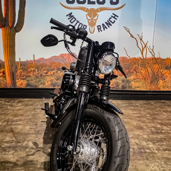 Harley-davidson - XL1200X - Sportster 48 - 2015 (7)