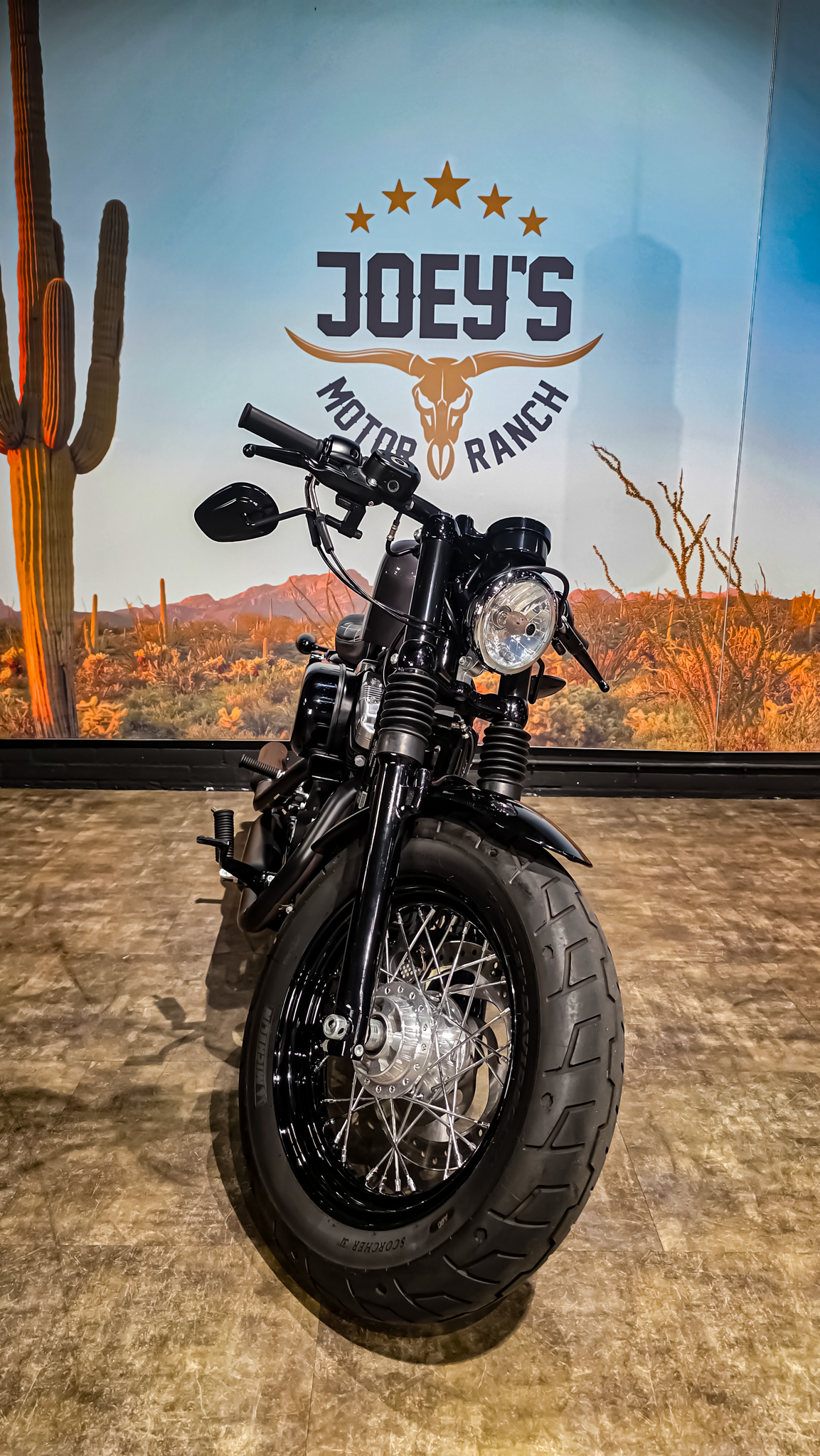 Harley-davidson - XL1200X - Sportster 48 - 2015 (7)