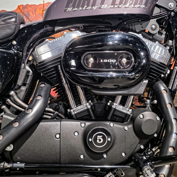 Harley-davidson - XL1200X - Sportster 48 - 2015 (7)