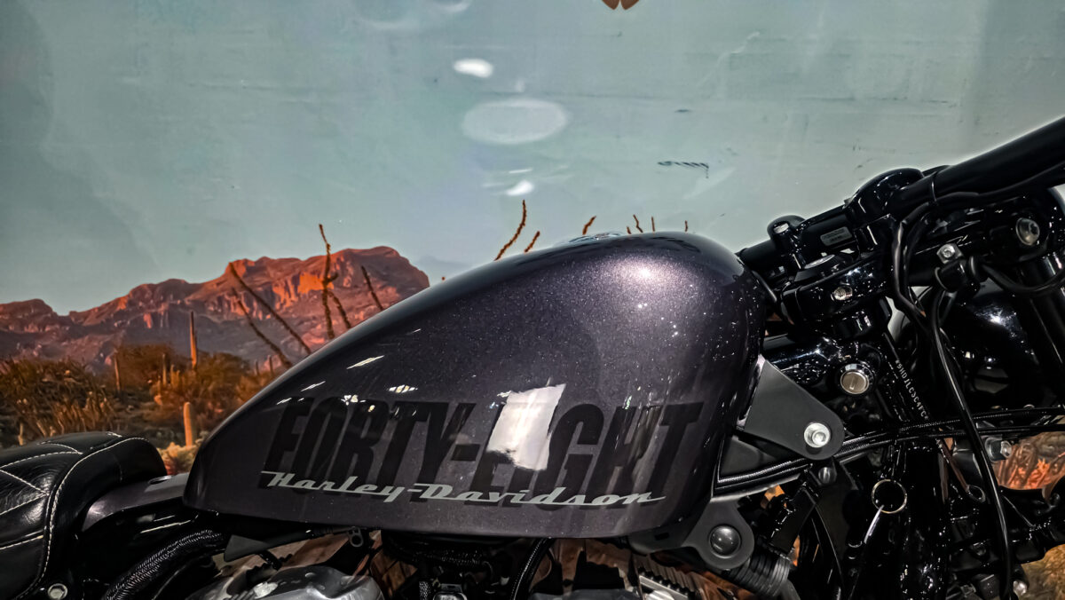 Harley-davidson - XL1200X - Sportster 48 - 2015 (7)