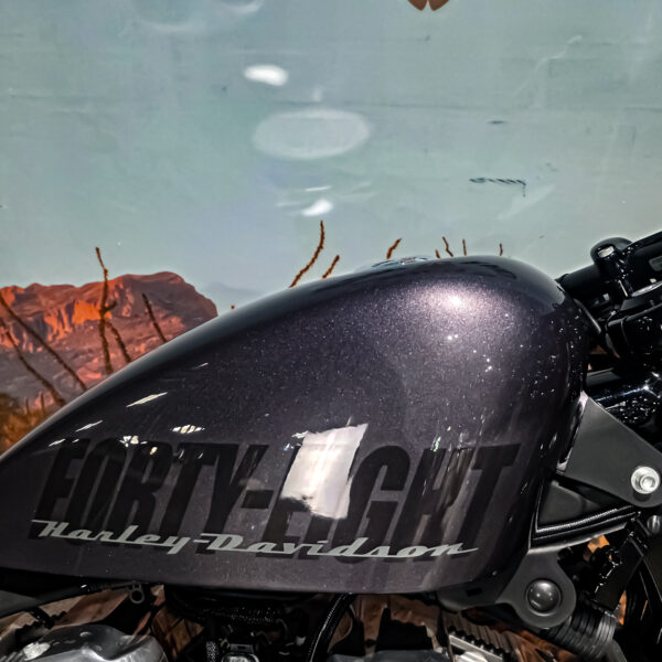 Harley-davidson - XL1200X - Sportster 48 - 2015 (7)