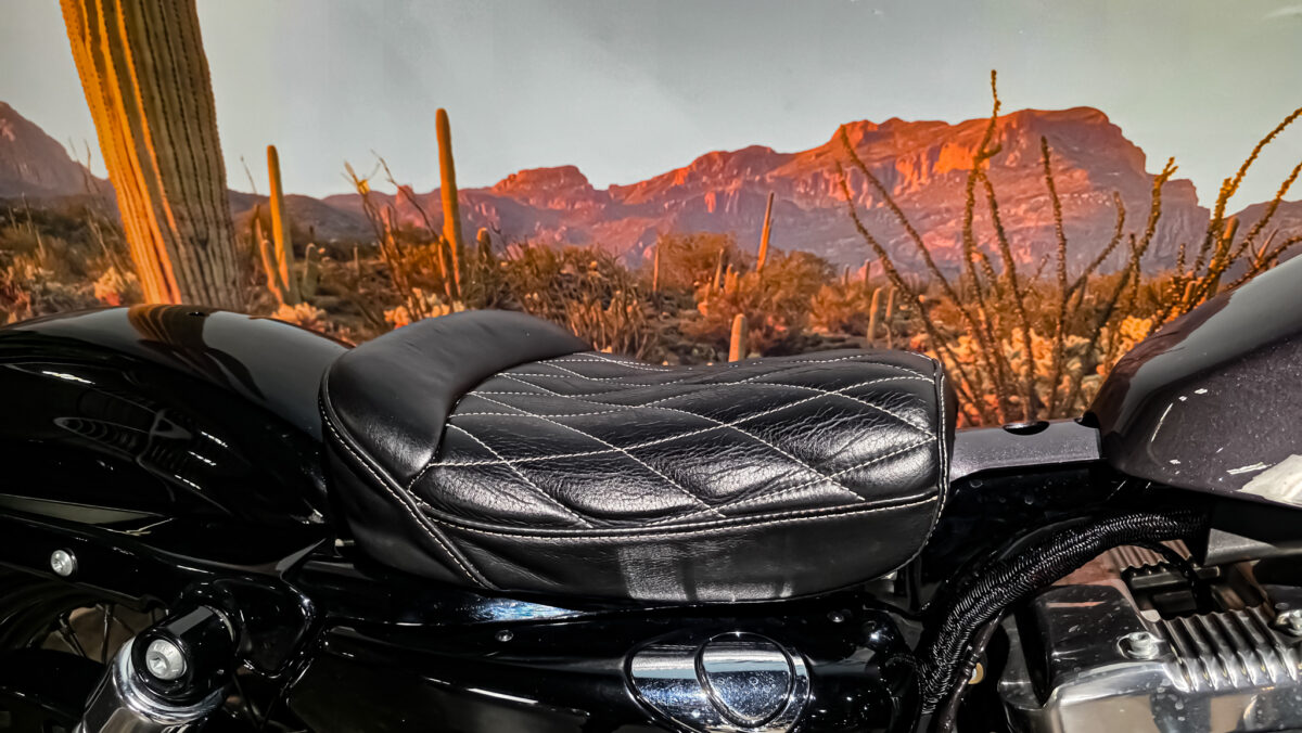 Harley-davidson - XL1200X - Sportster 48 - 2015 (7)
