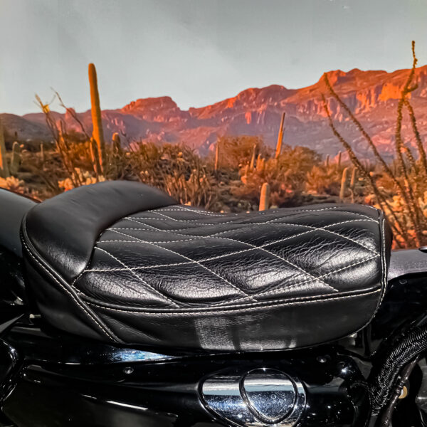 Harley-davidson - XL1200X - Sportster 48 - 2015 (7)