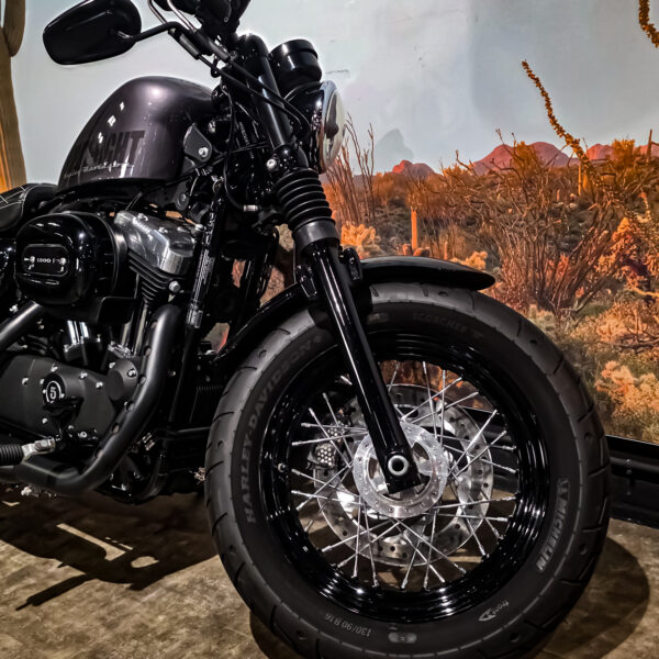 Harley-davidson - XL1200X - Sportster 48 - 2015 (7)