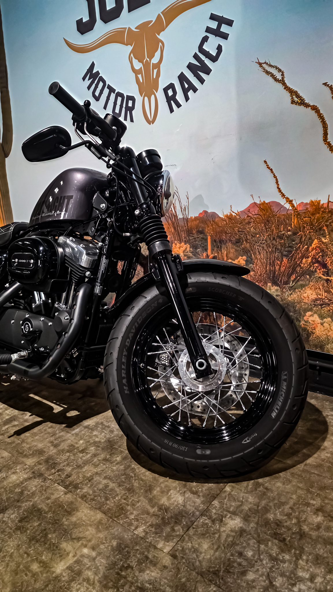 Harley-davidson - XL1200X - Sportster 48 - 2015 (7)
