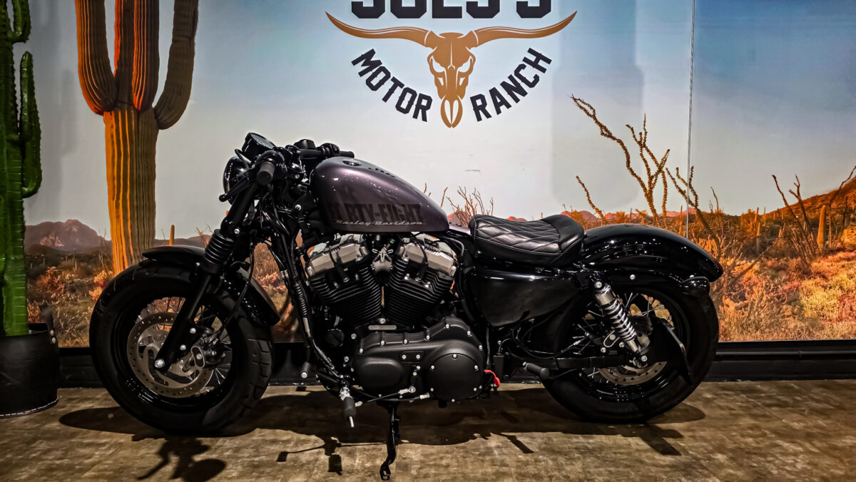 Harley-davidson - XL1200X - Sportster 48 - 2015 (7)