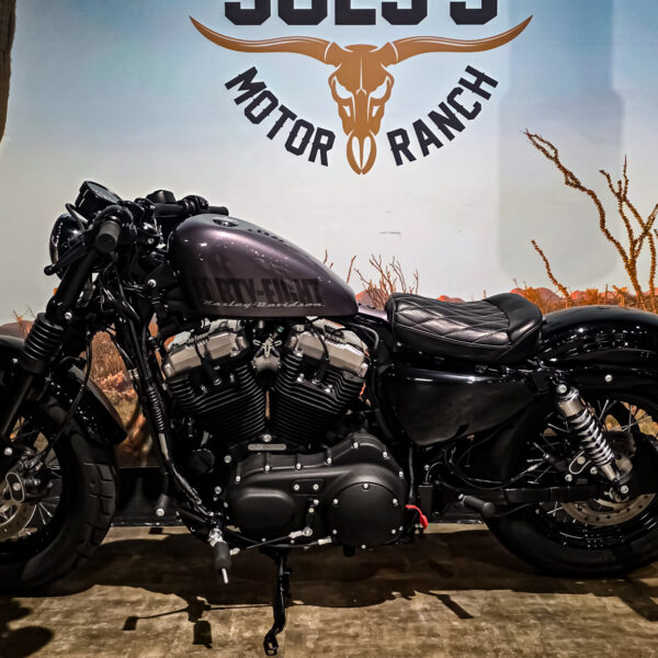 Harley-davidson - XL1200X - Sportster 48 - 2015 (7)