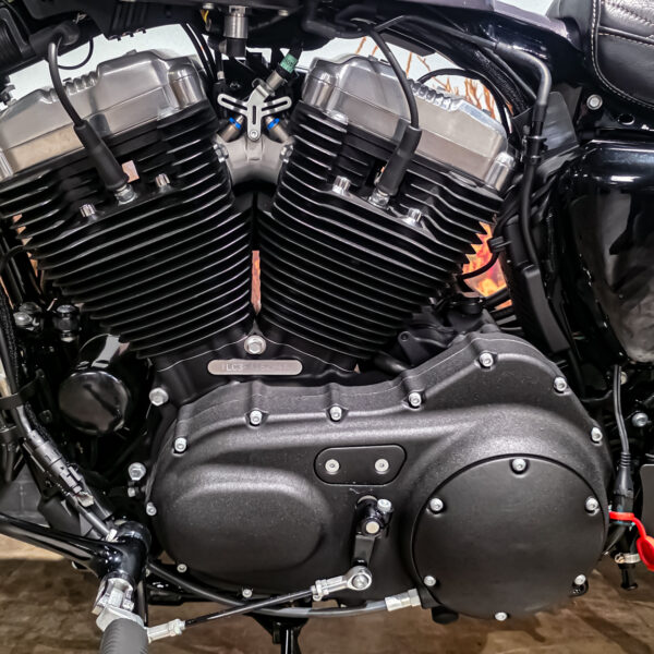 Harley-davidson - XL1200X - Sportster 48 - 2015 (7)