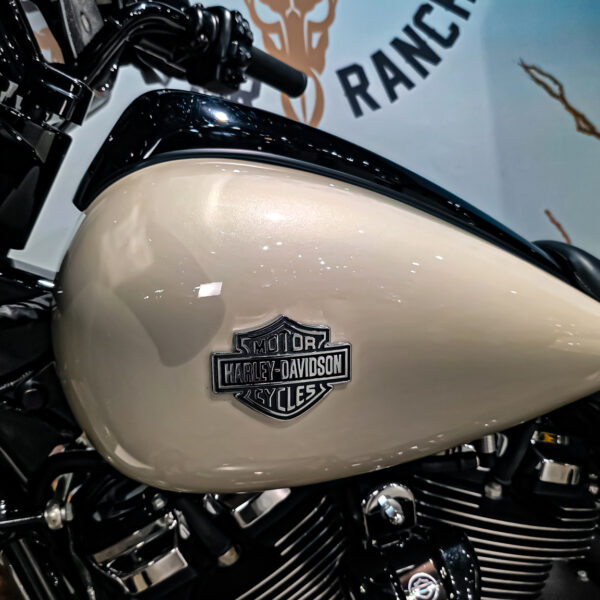 Harley-Davidson - Street Glide Special - FLHXS - 2022