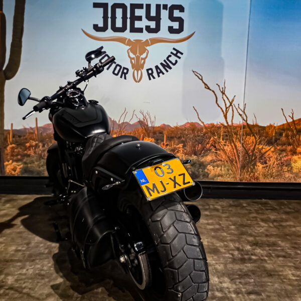 Harley-Davidson - FXFB - Fat Bob - 2018 - Jekill & Hyde (10) Harley-Davidson - FXFB - Fat Bob - 2018 - Jekill & Hyde