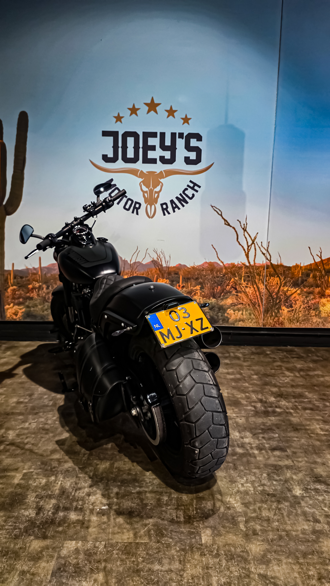Harley-Davidson - FXFB - Fat Bob - 2018 - Jekill & Hyde (10) Harley-Davidson - FXFB - Fat Bob - 2018 - Jekill & Hyde
