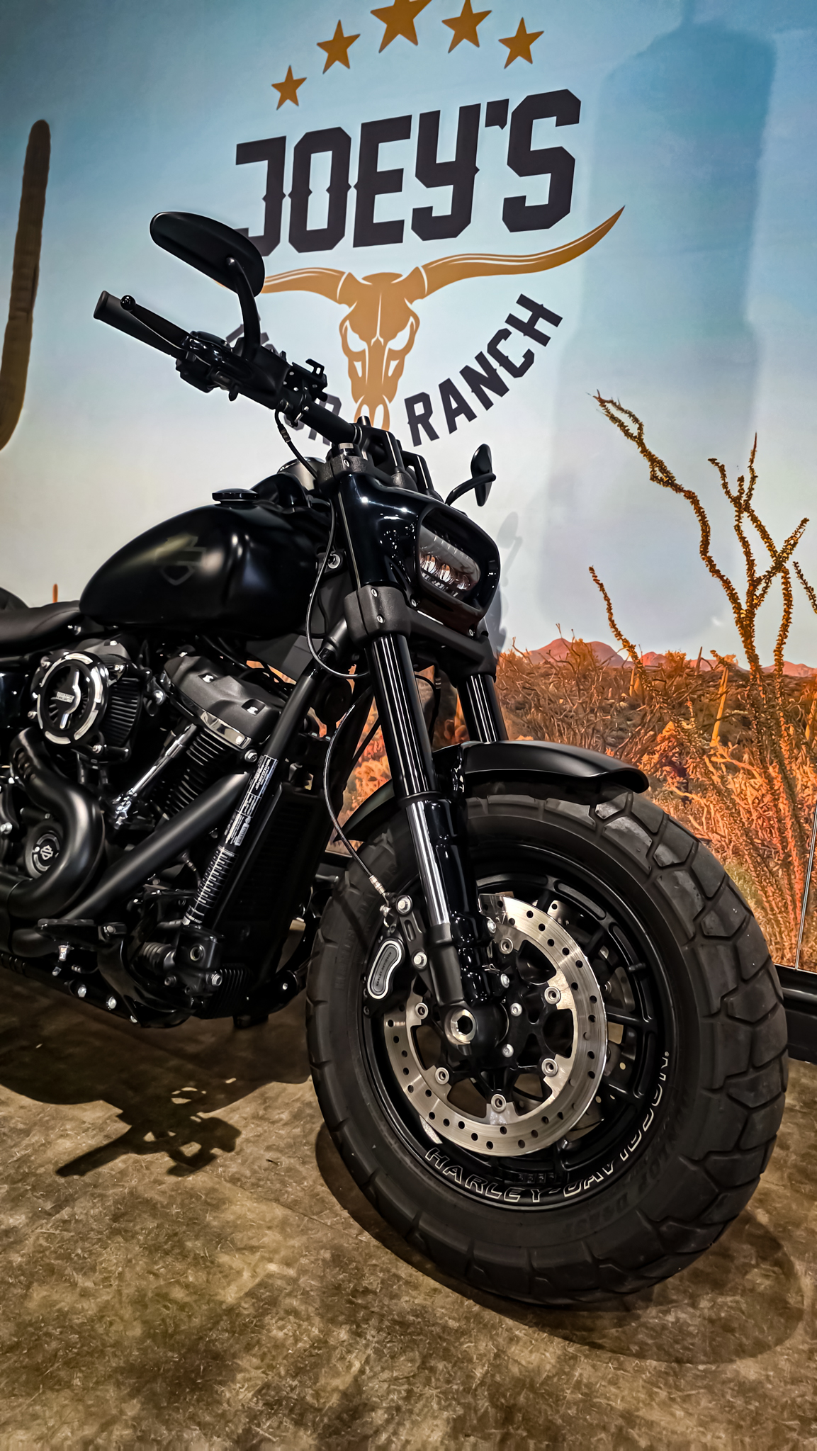 Harley-Davidson - FXFB - Fat Bob - 2018 - Jekill & Hyde (5) Harley-Davidson - FXFB - Fat Bob - 2018 - Jekill & Hyde