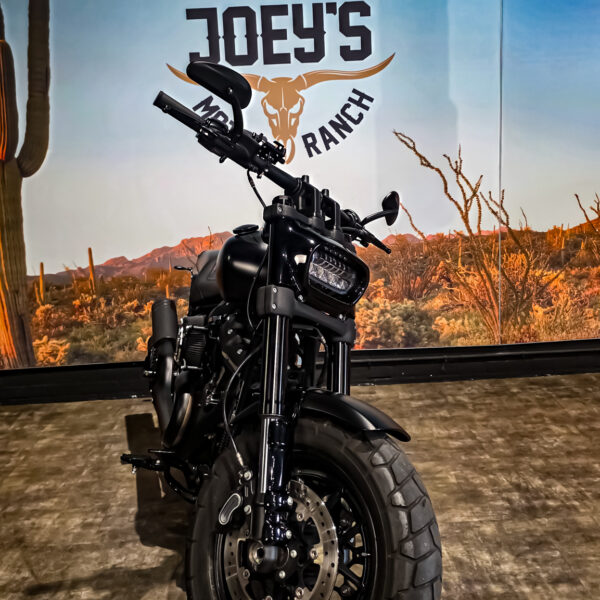 Harley-Davidson - FXFB - Fat Bob - 2018 - Jekill & Hyde (6) Harley-Davidson - FXFB - Fat Bob - 2018 - Jekill & Hyde