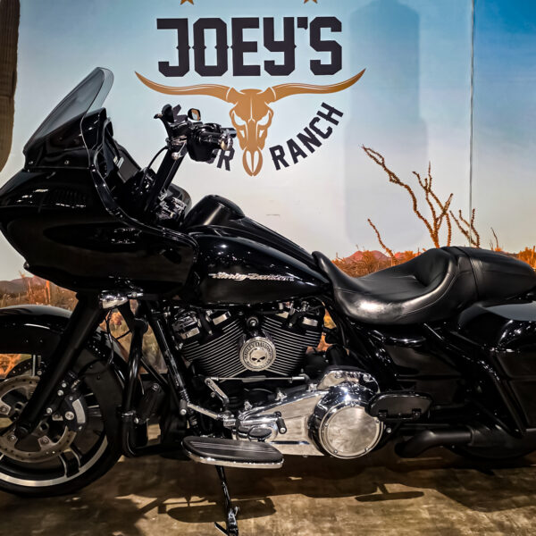 Harley-Davidson - Road Glide Special - FLTRXS - 2017