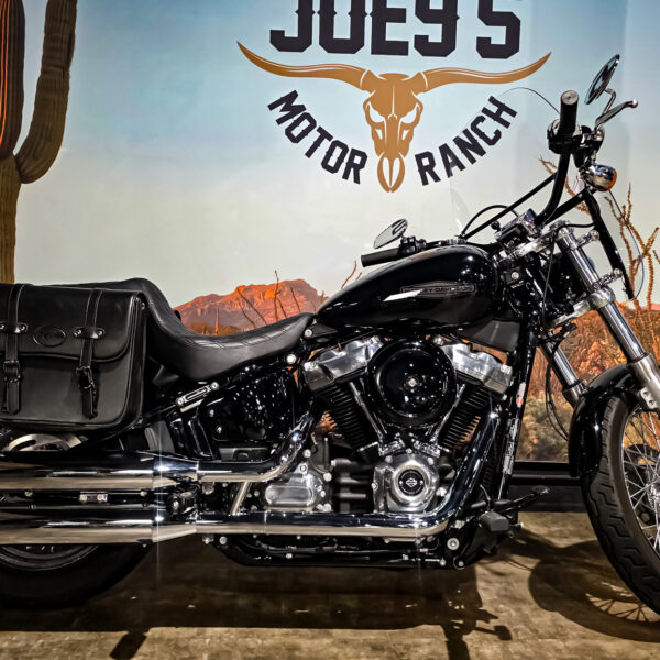 Harley-Davidson - Softail Standard - FXST - 2021 (1)