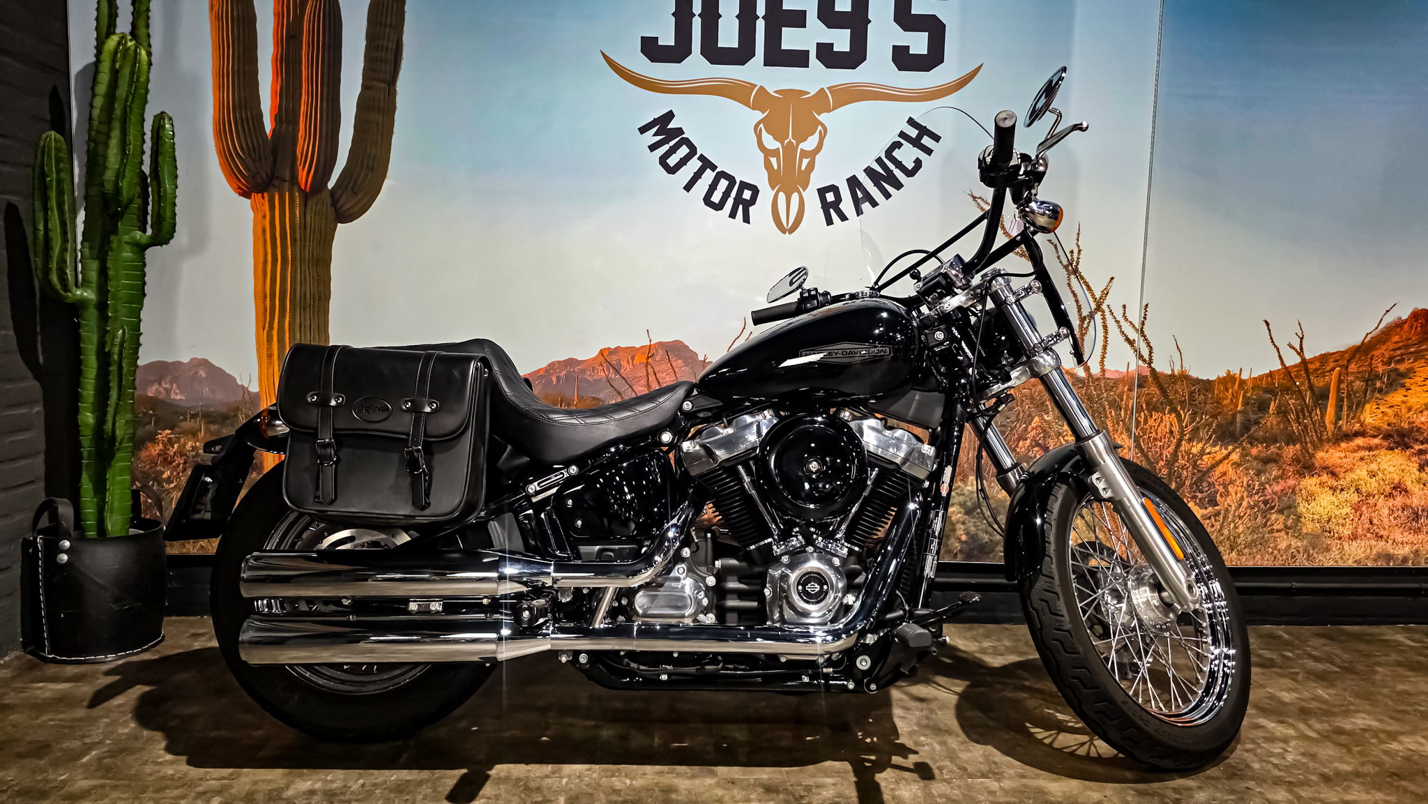 Harley-Davidson - Softail Standard - FXST - 2021 (1)