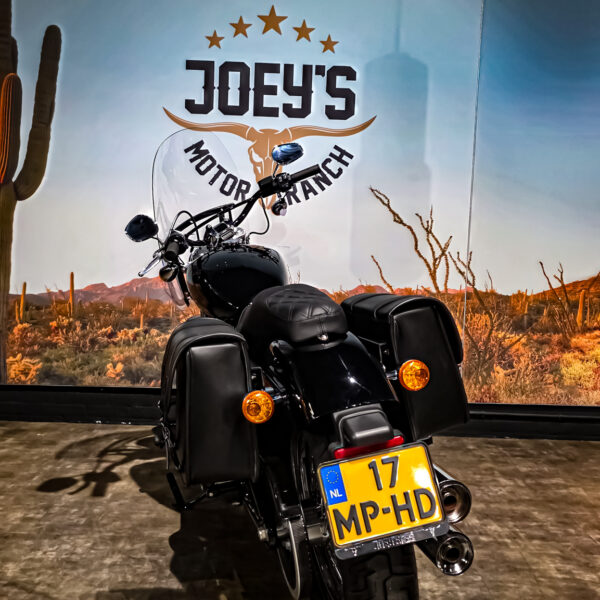 Harley-Davidson - Softail Standard - FXST - 2021 (1)