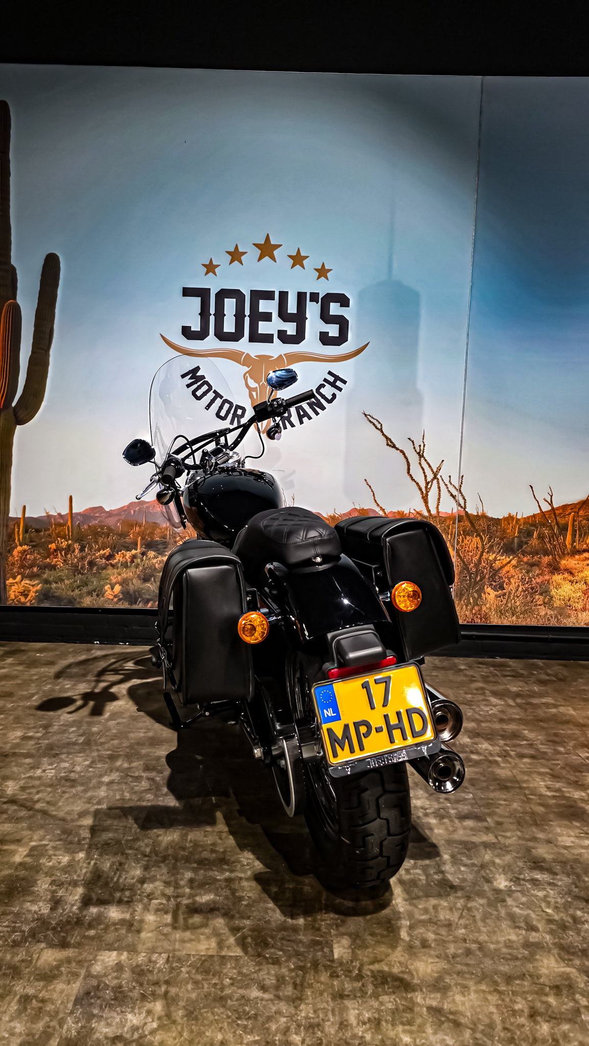 Harley-Davidson - Softail Standard - FXST - 2021 (1)