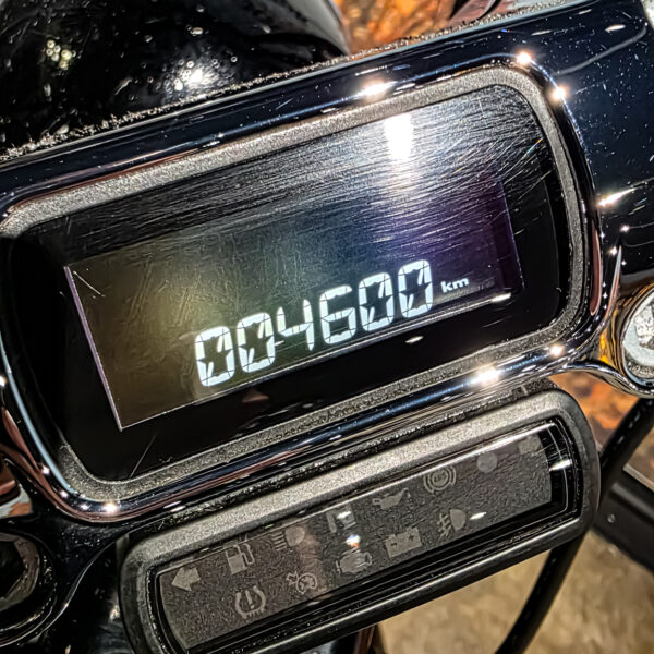 Harley-Davidson - Softail Standard - FXST - 2021 (1)