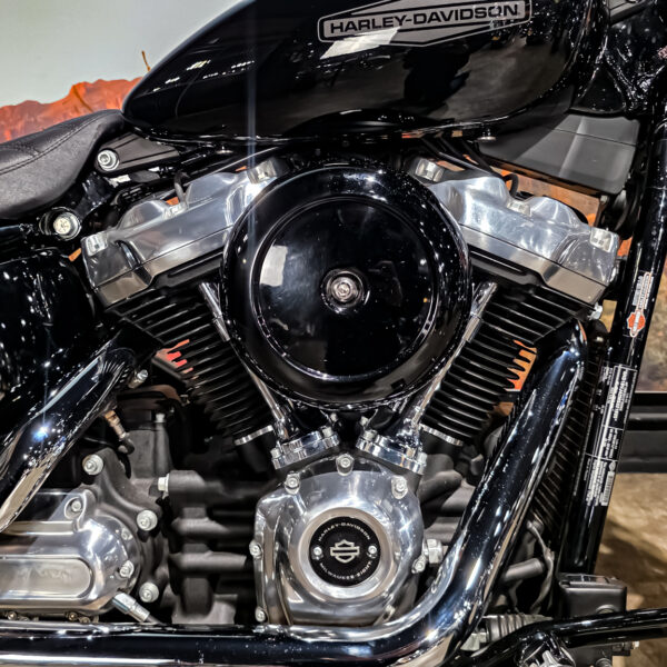 Harley-Davidson - Softail Standard - FXST - 2021 (1)Harley-Davidson - Softail Standard - FXST - 2021 (1)