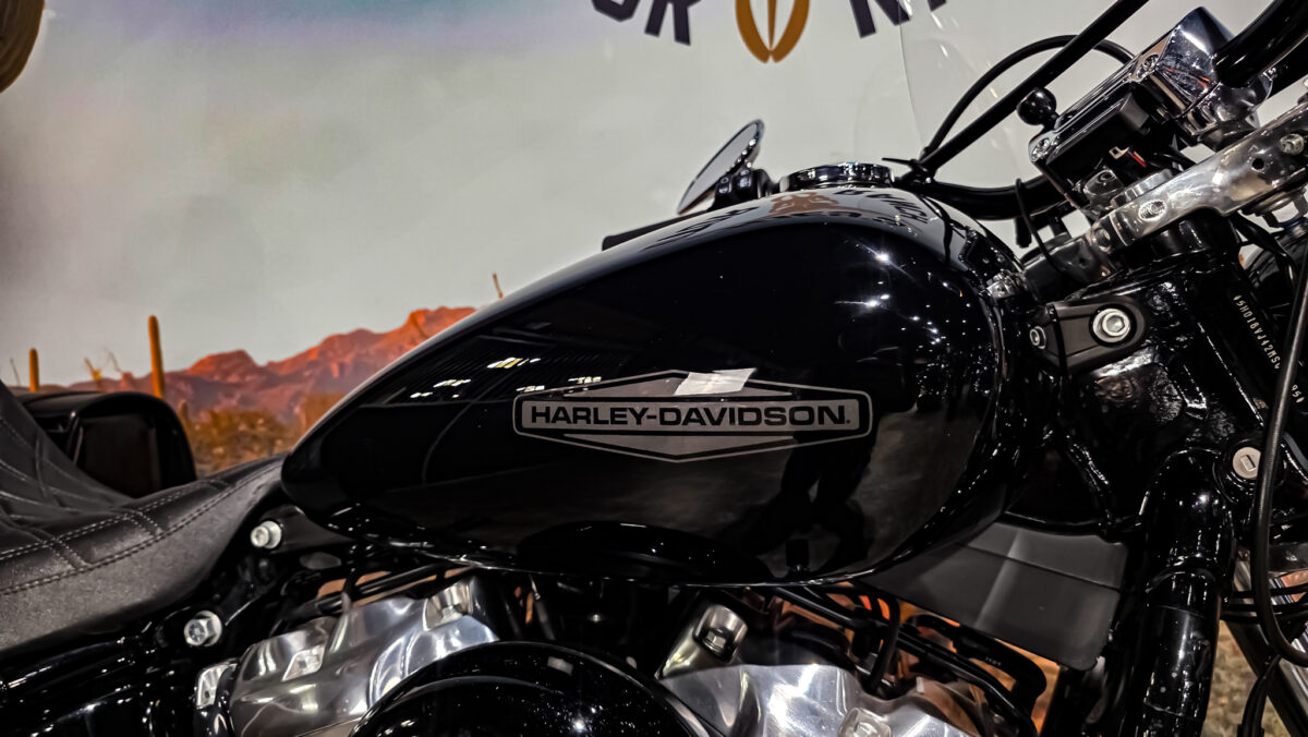 Harley-Davidson - Softail Standard - FXST - 2021 (1)