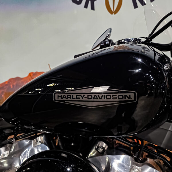 Harley-Davidson - Softail Standard - FXST - 2021 (1)
