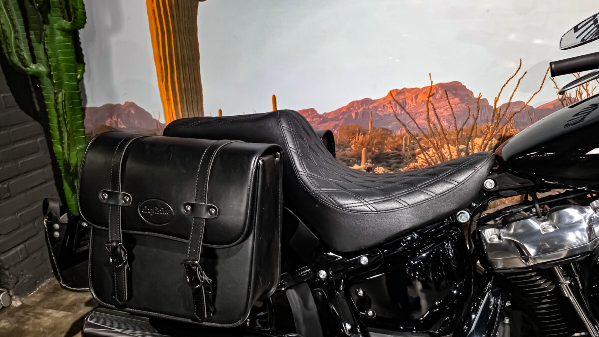 Harley-Davidson - Softail Standard - FXST - 2021 (1)
