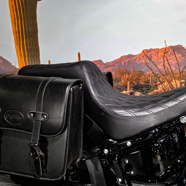 Harley-Davidson - Softail Standard - FXST - 2021 (1)