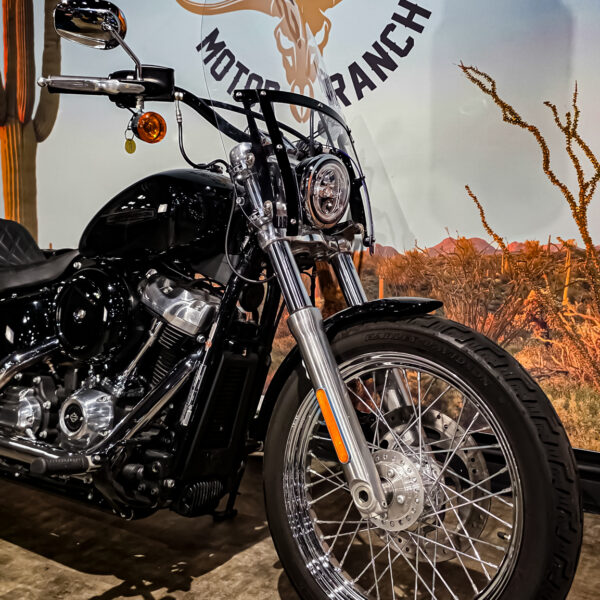 Harley-Davidson - Softail Standard - FXST - 2021 (1)