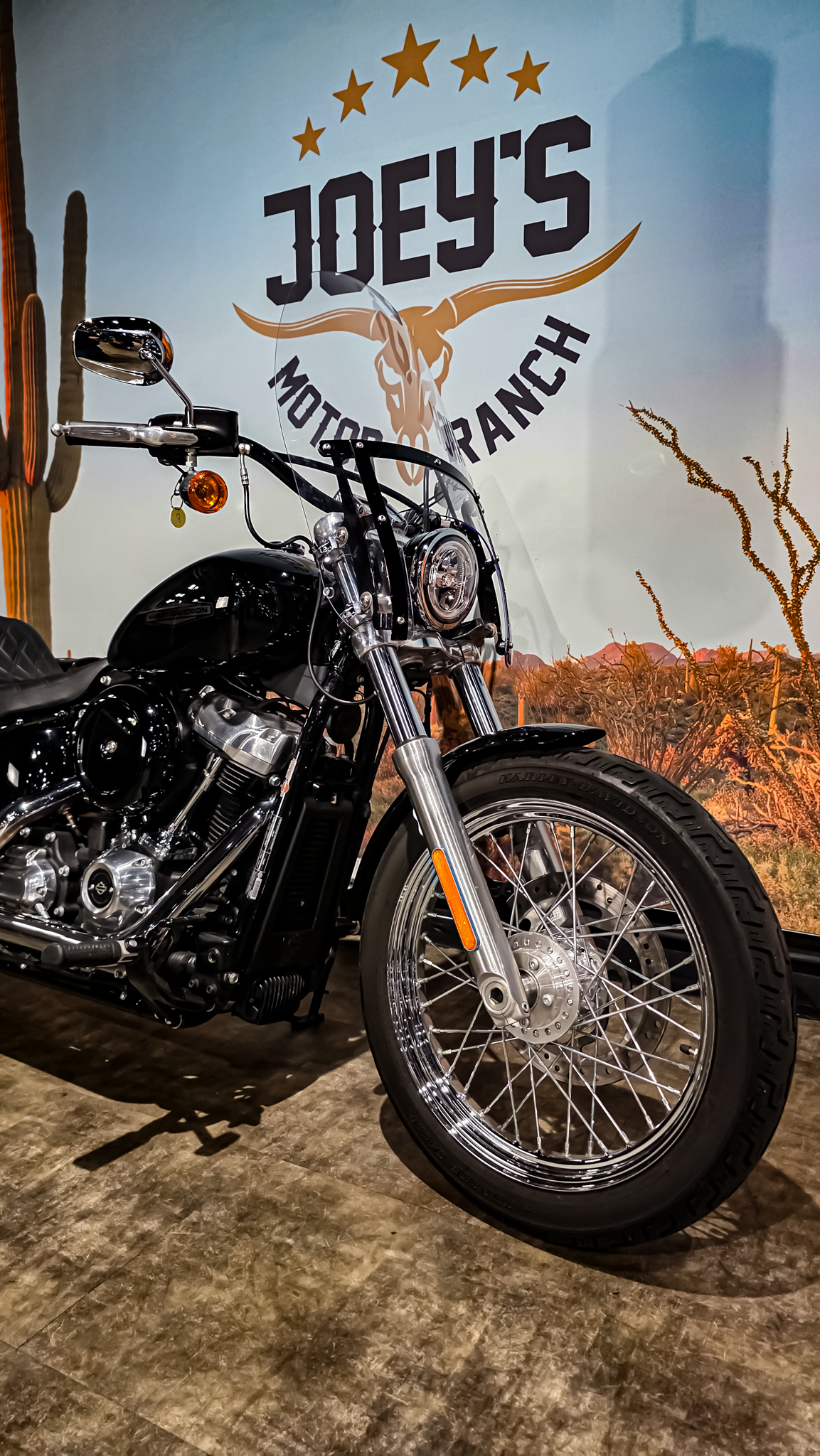 Harley-Davidson - Softail Standard - FXST - 2021 (1)