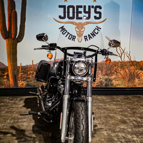 Harley-Davidson - Softail Standard - FXST - 2021 (1)